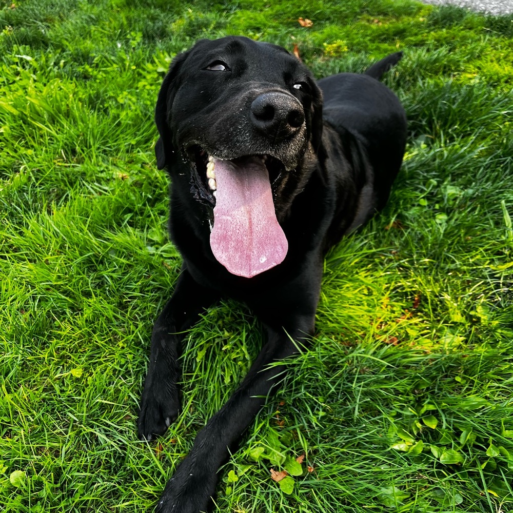 Meet your Posher, Deborah